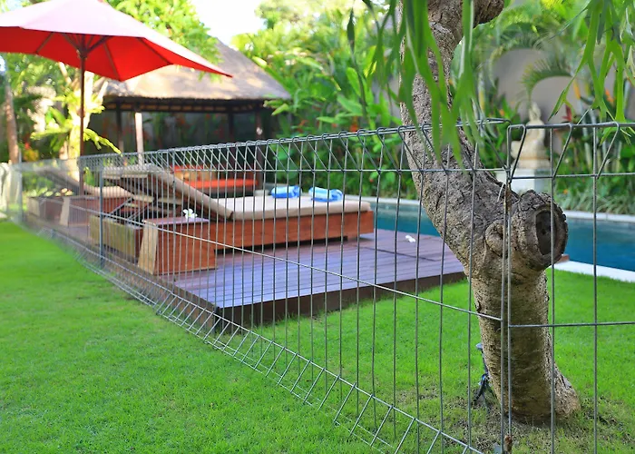Chandra Bali